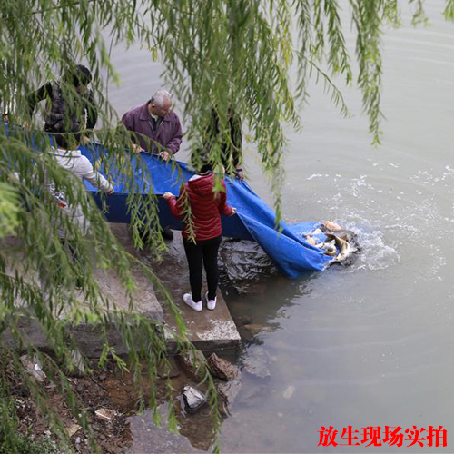 未標(biāo)題-1.jpg