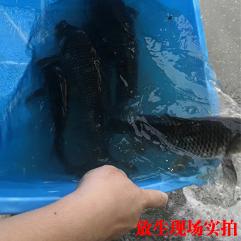 未標(biāo)題-1.jpg