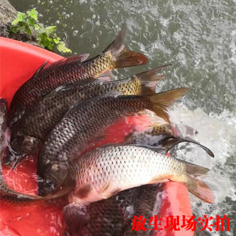 未標(biāo)題-1.jpg