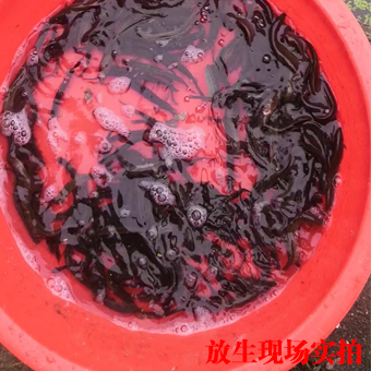 未標(biāo)題-1.jpg