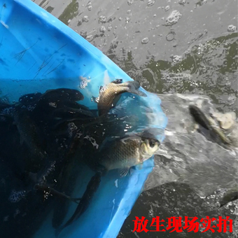 未標(biāo)題-1.jpg